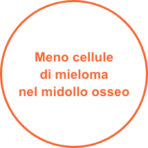 Multiple Myeloma Multiple Myeloma
