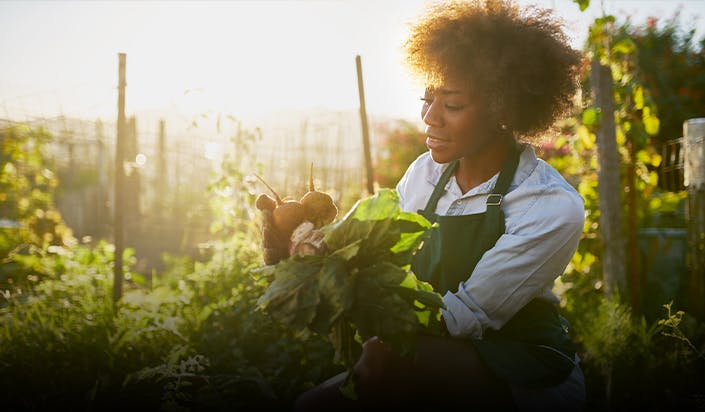 Image: Woman in the Garden Image: Woman in the Garden