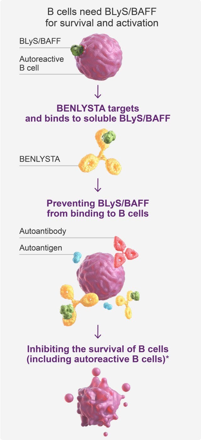 Image: Mechanism of action for BENLYSTA