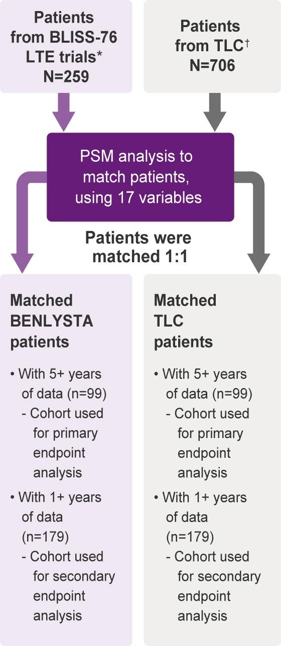 A post hoc, PSM comparative analysis was performed to assess the difference in organ damage (SDI) progression between patients in BLISS-76 LTE and from the TLC