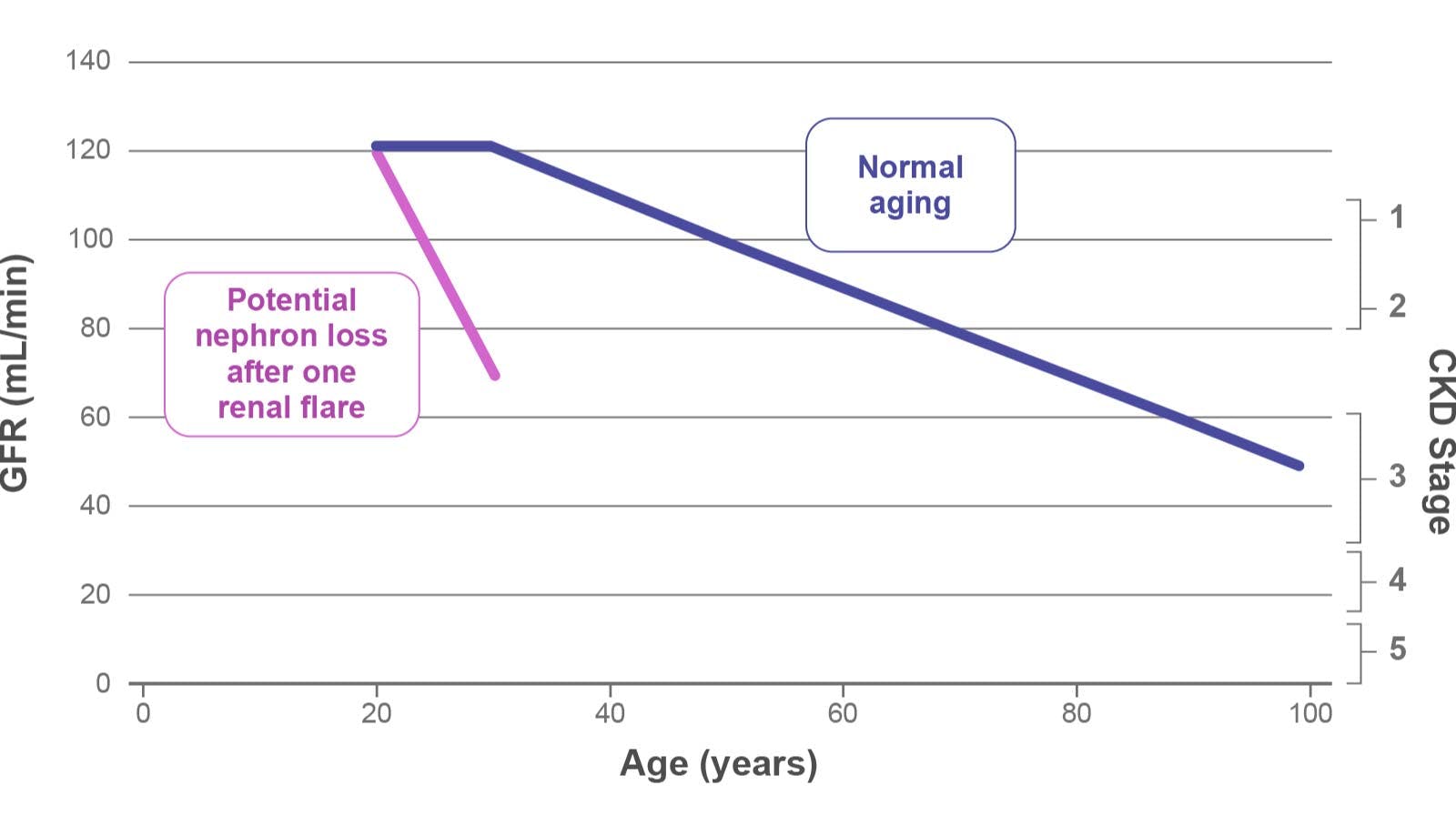 Lupus Nephritis Stage 5 Life Expectancy About Lupus Nephritis | BENLYSTA (belimumab) for HCPs