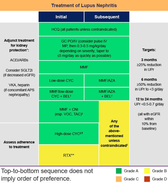 Chart of EULAR recommendations in lupus nephritis