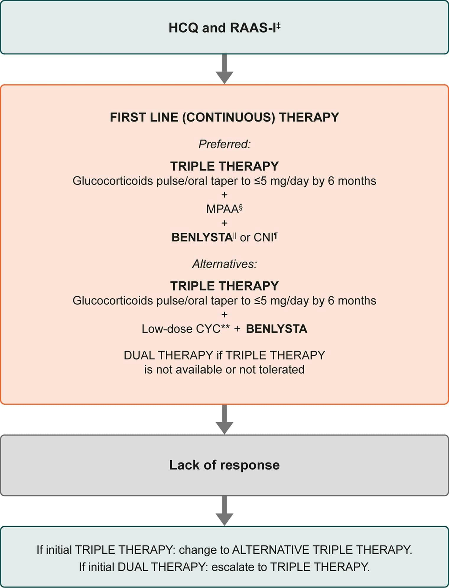 Select treatment algorithm from the 2024 ACR guidelines for lupus nephritis