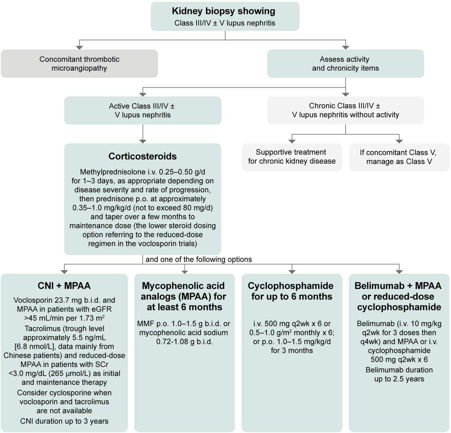 KDIGO recommended approach for initial therapy of active Class III/IV lupus nephritis