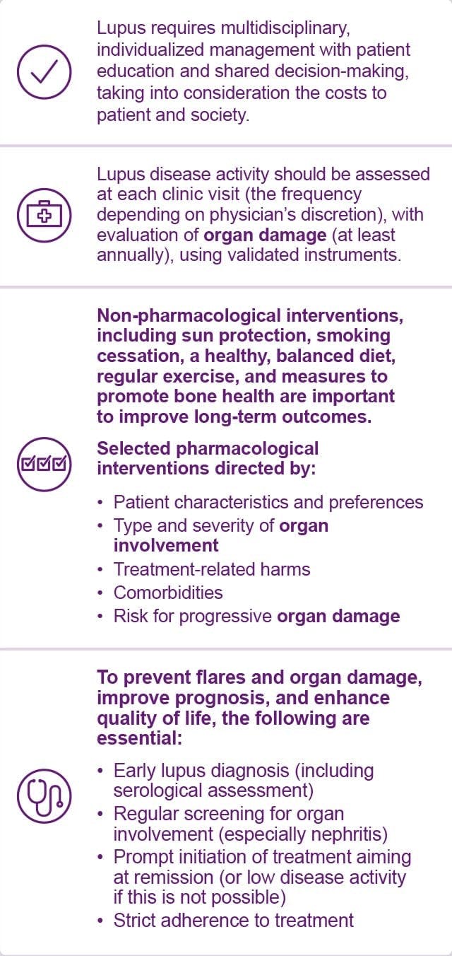 Select overarching principles from the 2023 EULAR recommendations for lupus