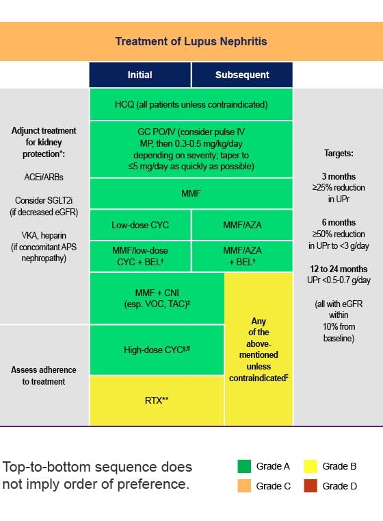 EULAR treatment algorithm of lupus nephritis