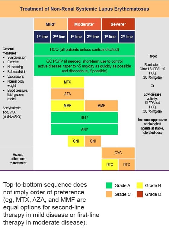 EULAR treatment algorithm of non-renal systemic lupus erythematosus