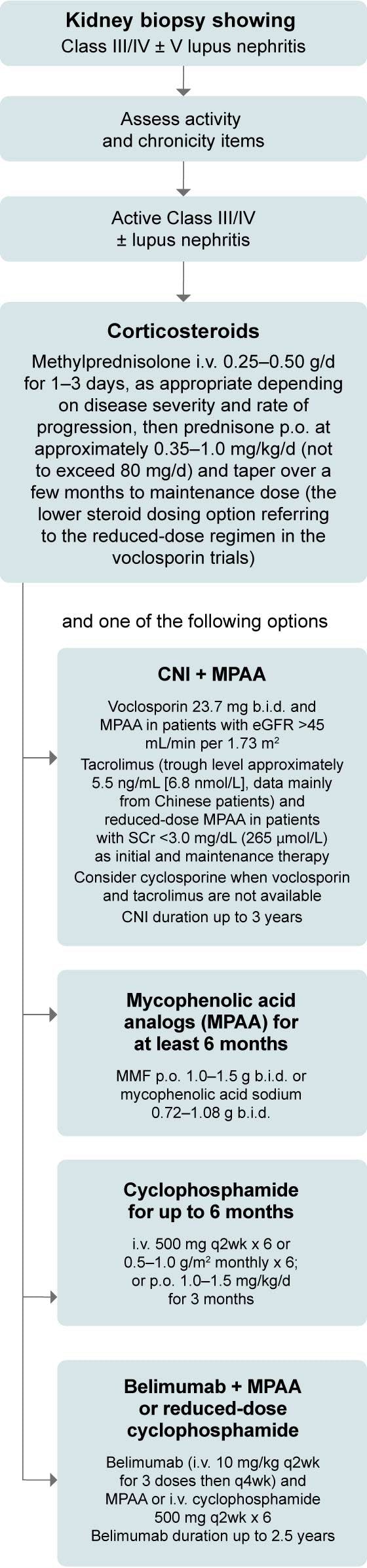 Recommended approach for initial therapy of active Class III/IV lupus nephritis