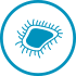Icon of bacteria Icon of bacteria