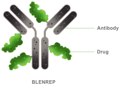 BLENREP is an antibody-drug conjugate (ADC) that targets B-cell maturation antigen (BCMA)