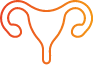 Uterus icon