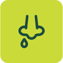 Ícone
