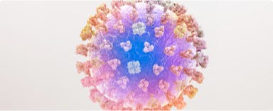 Image: Flu Virus Image: Flu Virus