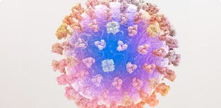 Image: Flu Virus Image: Flu Virus