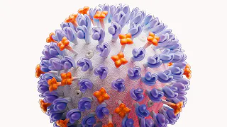 Illustration of influenza virus