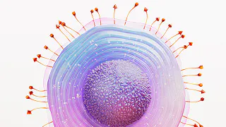 Illustration of varicella zoster virus