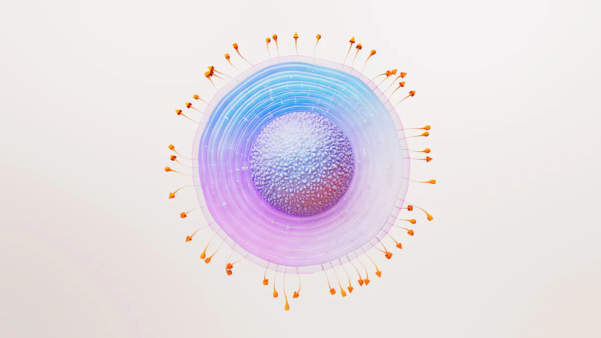 Varicella zoster virus image