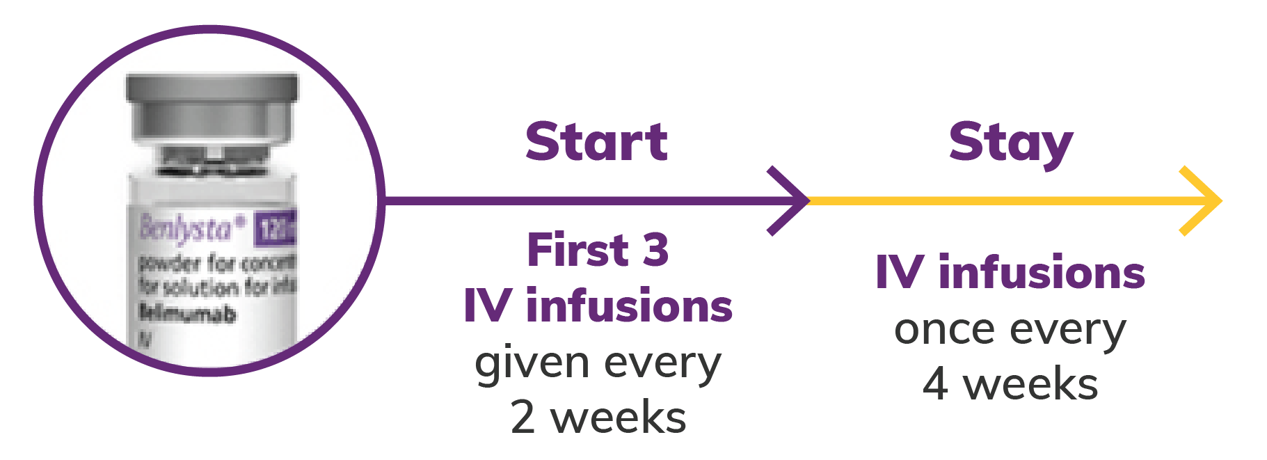Image: Dosing Schedule for SLE and LN Image: Dosing Schedule for SLE and LN