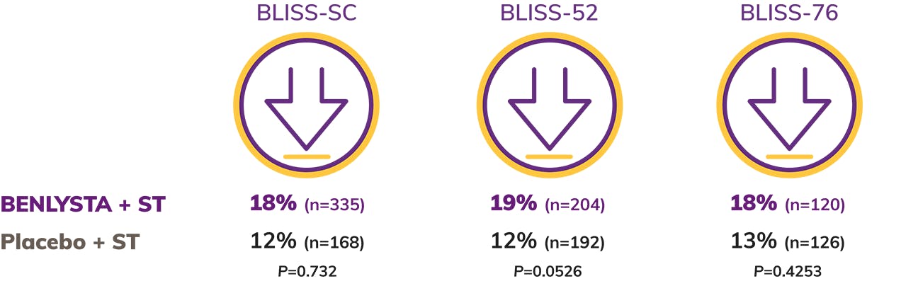 Adult SLE Chart Adult SLE Chart