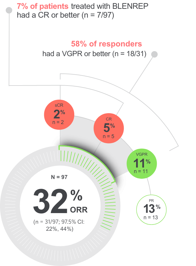 Visual Showing Overall Response Rate to BLENREP at 13 months