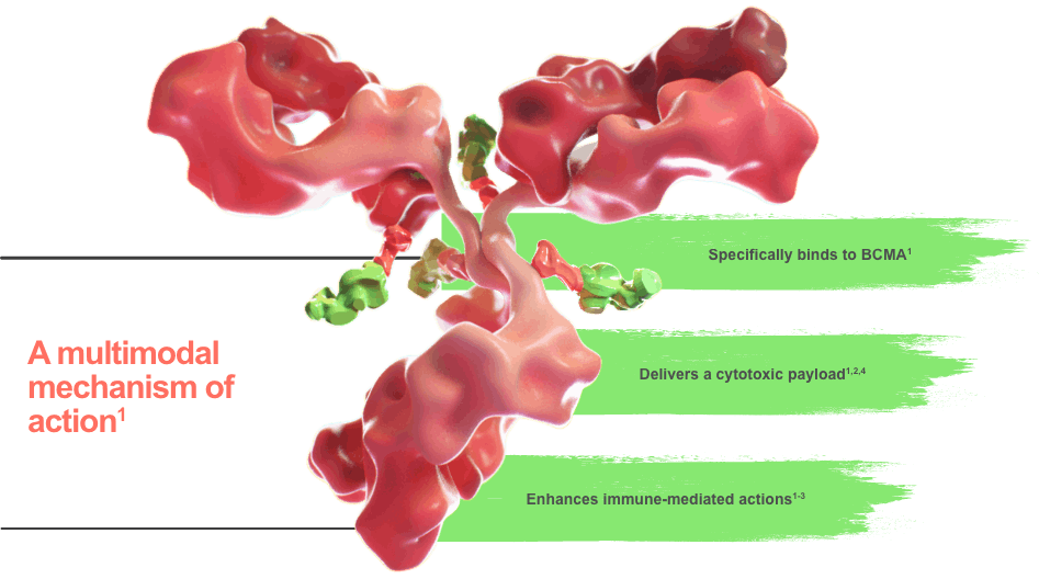 Image showing BLENREP multimodal mechanism of action