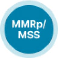 MMRp/MSS icon