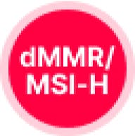 dMMR/MSI-H icon