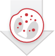 Eosinophil reduction Eosinophil reduction icon