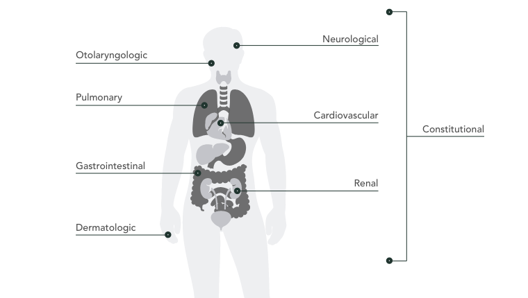 Organs that may be impacted by EGPA diagram