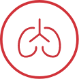 Lungs Icon Lungs Icon