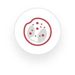 Eosinophils and Mechanism of Action icon