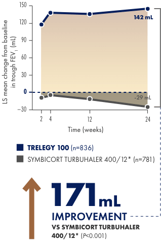 Co-primary endpoint: change from baseline in trough FEV at Week 24