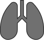 Gray lungs icon