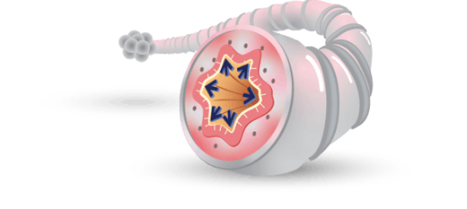 LABA (vilanterol) promotes bronchodilation