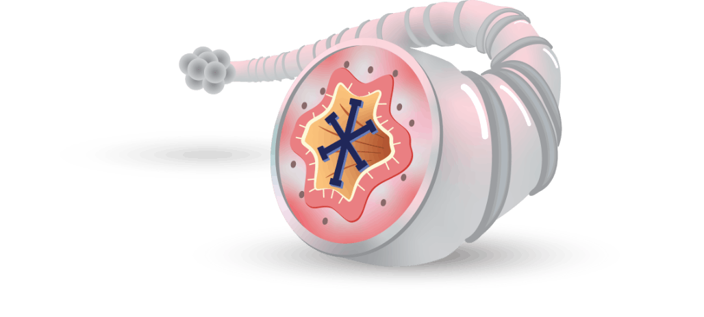 LAMA (umeclidinium) inhibits bronchoconstriction