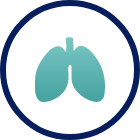 Lungs icon Lungs icon