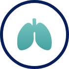 Lungs icon