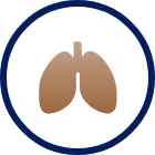 Lungs icon Lungs icon