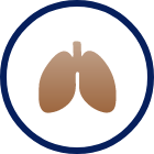 Lungs icon