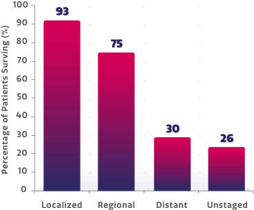 5 year survival by stage chart 5 year survival by stage chart