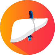Moderate hepatic impairment icon Moderate hepatic impairment icon