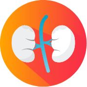 Mild/moderate renal impairment icon Mild/moderate renal impairment icon