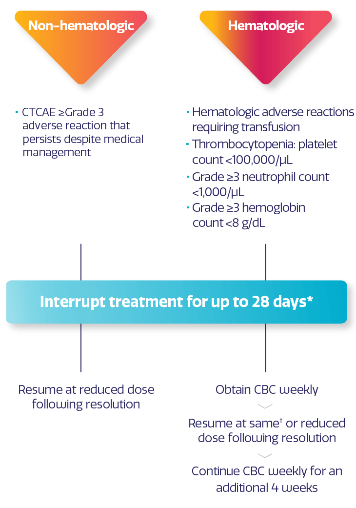 ZEJULA (niraparib) dose modifications