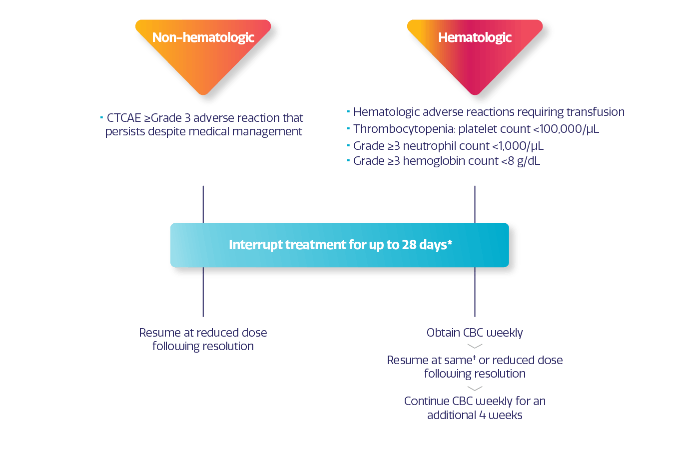 ZEJULA (niraparib) dose modifications ZEJULA (niraparib) dose modifications