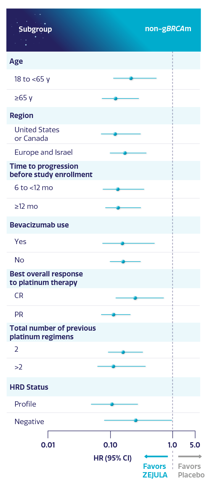 Visual showing key demographic and prognostic subgroups for non-gBRCAm efficacy in NOVA trial. Visual showing key demographic and prognostic subgroups for non-gBRCAm efficacy in NOVA trial.