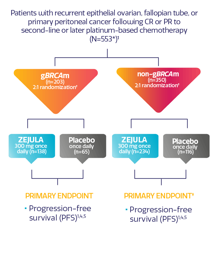 Visual showing NOVA trial design of adult patients with recurrent epithelial ovarian, fallopian tube, or primary peritoneal cancer following CR or PR to second-line or later platinum-based chemotherapy and progression-free survival (PFS). Visual showing NOVA trial design of adult patients with recurrent epithelial ovarian, fallopian tube, or primary peritoneal cancer following CR or PR to second-line or later platinum-based chemotherapy and progression-free survival (PFS).
