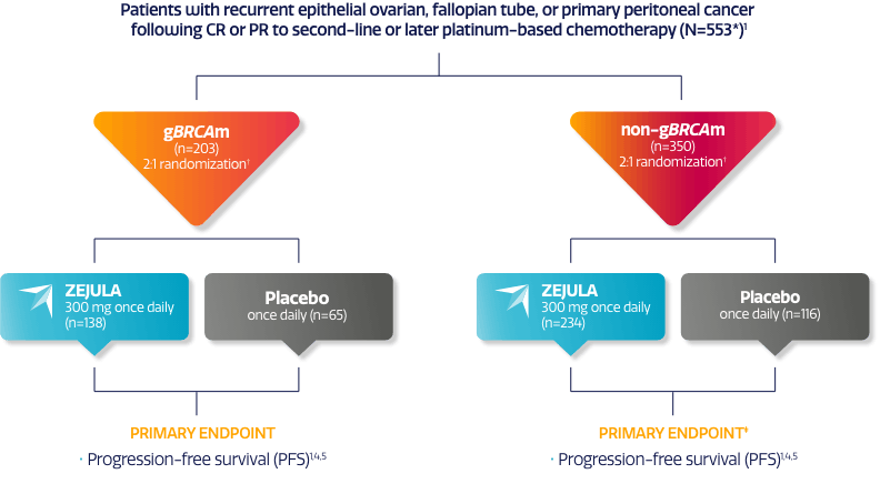 Visual showing NOVA trial design of adult patients with recurrent epithelial ovarian, fallopian tube, or primary peritoneal cancer following CR or PR to second-line or later platinum-based chemotherapy and progression-free survival (PFS). Visual showing NOVA trial design of adult patients with recurrent epithelial ovarian, fallopian tube, or primary peritoneal cancer following CR or PR to second-line or later platinum-based chemotherapy and progression-free survival (PFS).