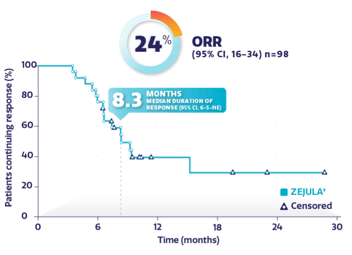 Graph showing the median duration of response in the indicated population. Graph showing the median duration of response in the indicated population.
