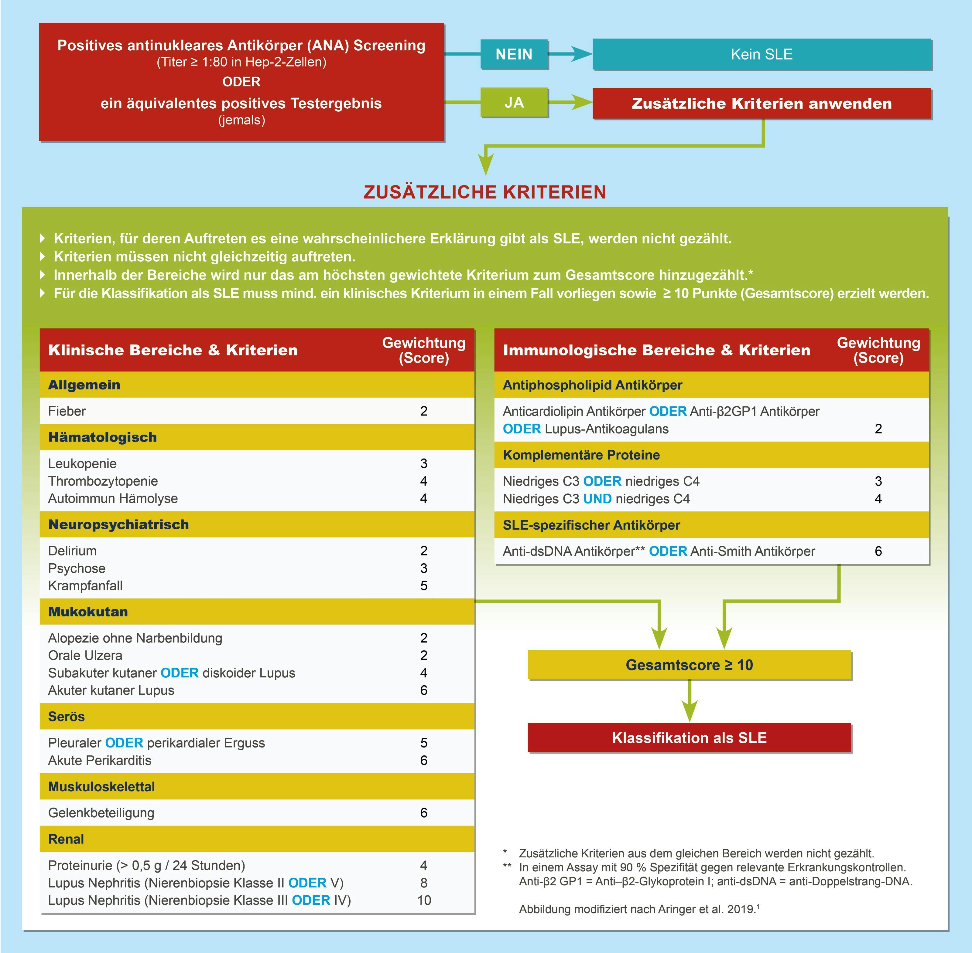 Grafik Lupus erythematodes Diagnosealgorithmus Grafik Lupus erythematodes Diagnosealgorithmus