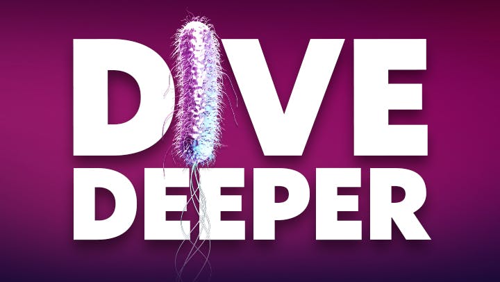 Dive deeper hero image Dive deeper hero image